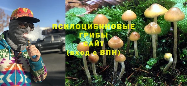 MDMA Premium VHQ Белокуриха