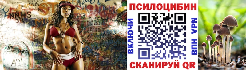 Галлюциногенные грибы Psilocybe  кракен ONION  Надым 